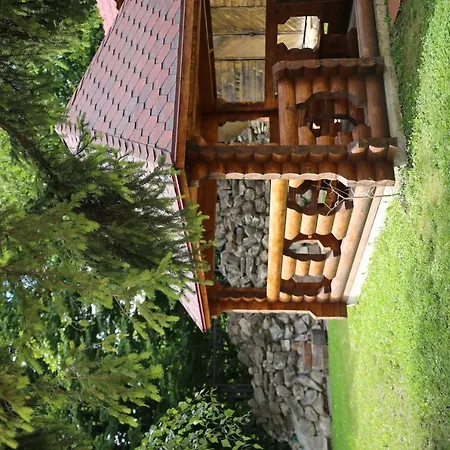 Station touristique Karpatski Zori *